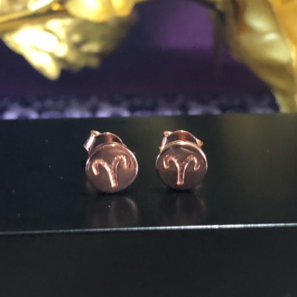 Sterling Silver ARIES Earrings Rose Gold plated